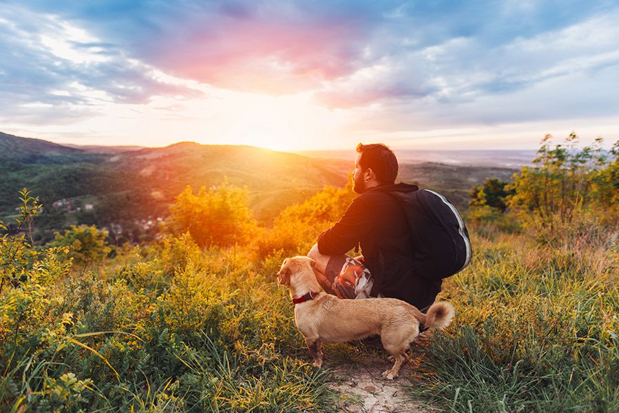  Urlaub mit Hund