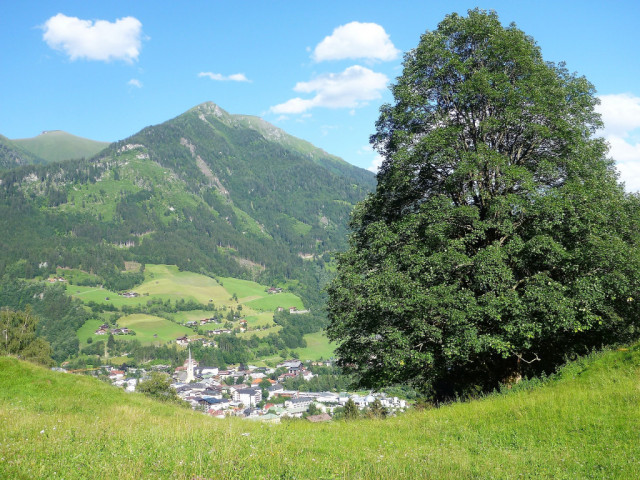 Biohof Maurachgut