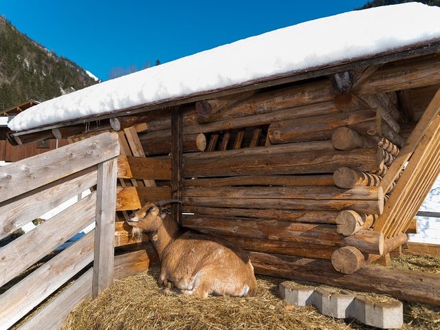 Familienhotel Oberkarteis I Bauernhof Hotel