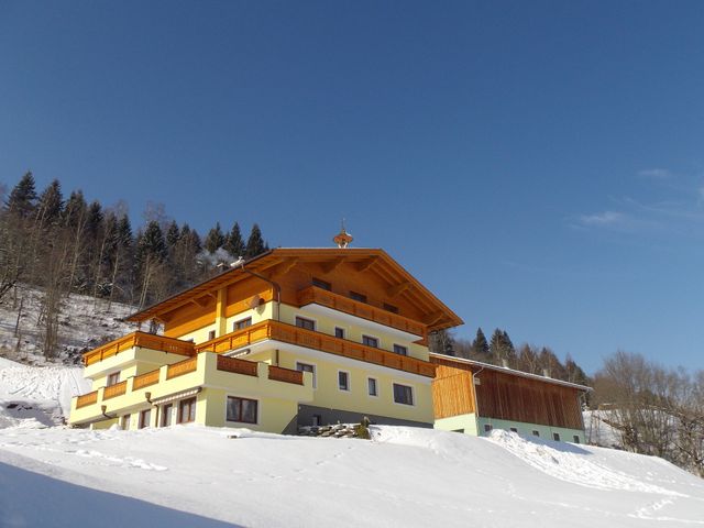 Aslgut
