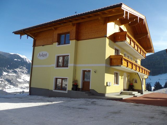 Aslgut
