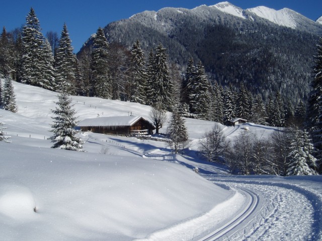 Eggerbauer